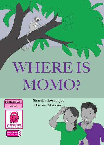 Where is Momo?