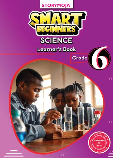 Smart Beginners Science Learner's Book Grade 6